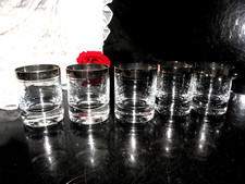 5 Whiskybecher Gläser