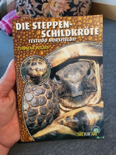 Die steppenschildkröte - die,
