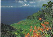 KALALAU VALLEY ~ NORTH SHORE