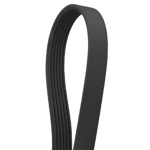 Robuster laufbandgurt pj1245 - robuster,