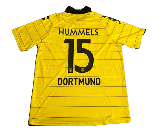 Borussia dortmund bvb 2010 - bvb, 2010/11