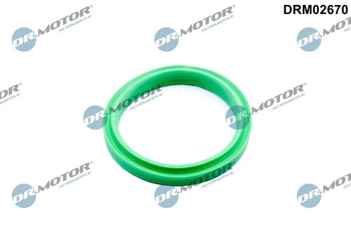 Motor automotive dichtring - dr.motor,