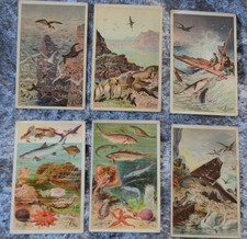 64594 Aecht Franck Kaffeemühle Tierleben im und am Meer   6 Sammelbilder