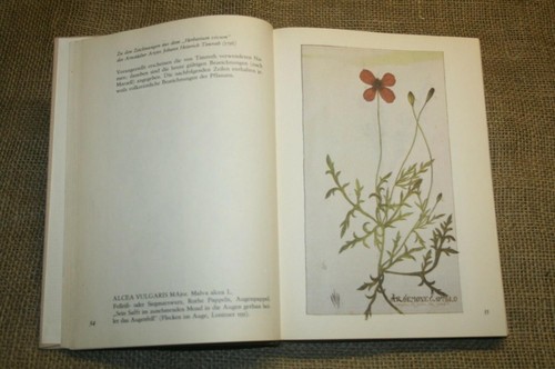 Buch heilkräuter - buch,
