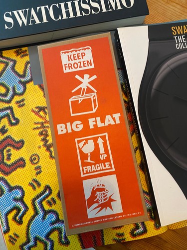 Swatch art big flat 368 - flat,