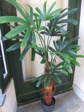 Künstliche Fächerpalme ca. 1,3m Real Touch Blätter mit Kokosfaserstamm