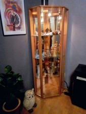 Sammlervitrine Standvitrine