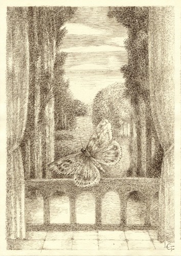 "Summer dreams"