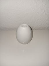 Salzstreuer Porzellan  Weiß