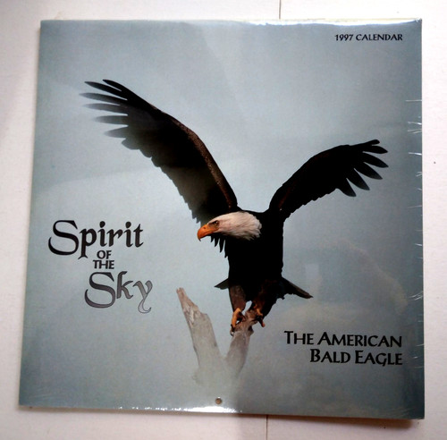 American weißkopfseeadler - american,