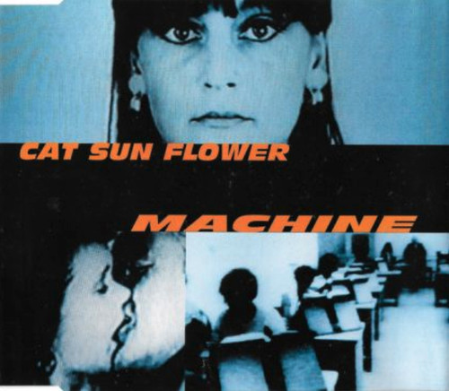 Cat sun flower - sun, cd