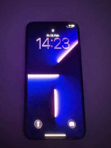 Iphone pro max 256gb space - max,