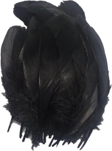 Schwarze gänsefedern 22cm - schwarze, 15-22cm