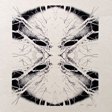 Abstract tree branches screen