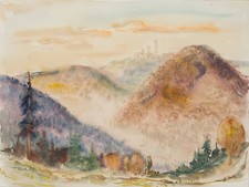 Blick über waldlandschaften - blick,