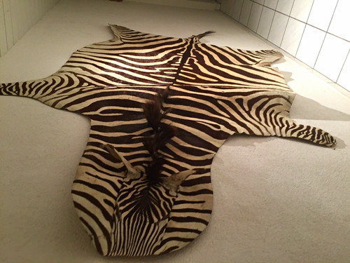 Zebrafell echt 220 x - zebrafell,
