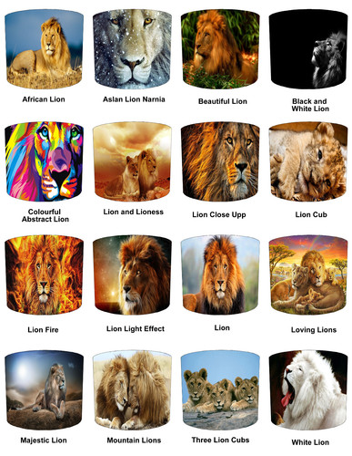 Lions jungle animals - &,