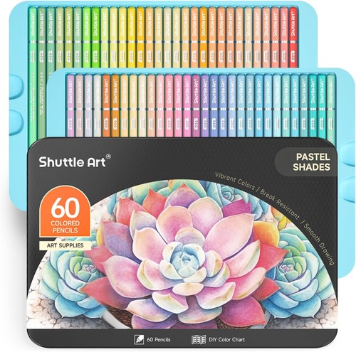 Shuttle art pastell - art, 60