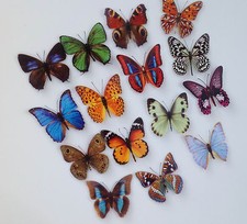 15 Stück Deko Schmetterlinge