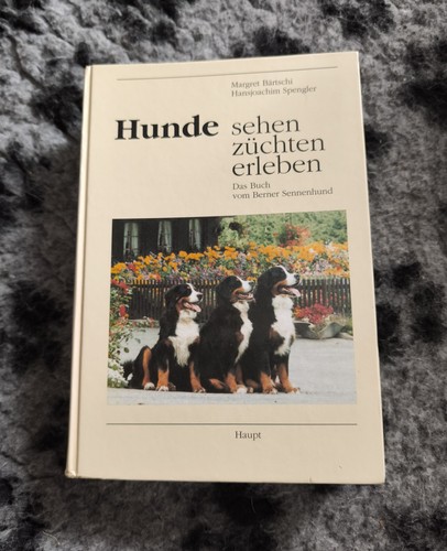 Hunde sehen züchten - hunde,