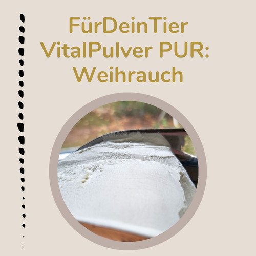 100 weihrauch - weihrauch, (boswellia)