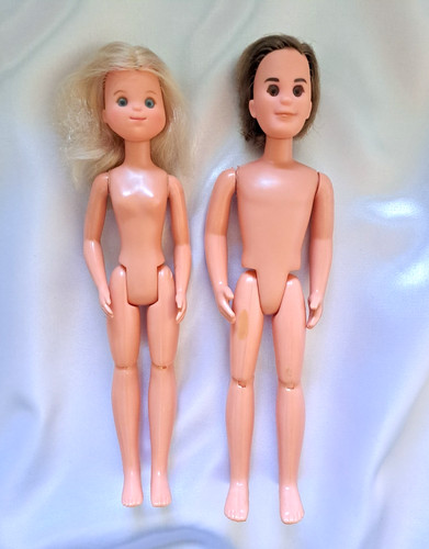 Barbie puppen familie - ,