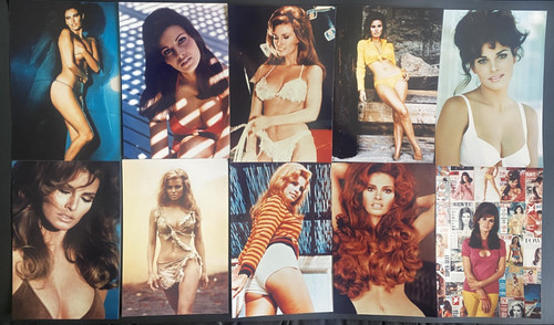 Dreiunddreißig raquel welch - dreiunddreißig,