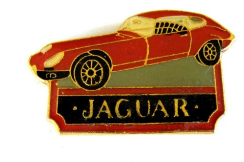 Auto pin pins jaguar - -,