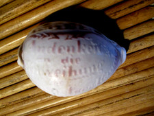 Muschel Souvenir Zur Einweihung des Nordostseekanal am 21. Juni 1895