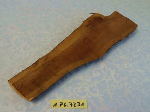 Irische eibe eibenholz - irische,