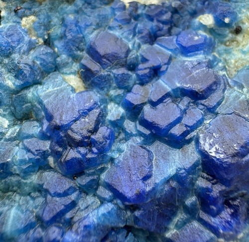 Very rare fluorescent royal - rare!,