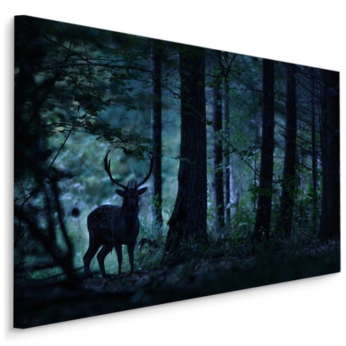 Canvas leinwand bilder xxl - bilder,