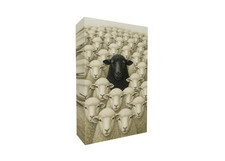 Sei anders schwarzes Schaf