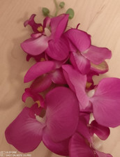 Kunstblume, ORCHIDEENZWEIG, künstliche Orchideenblüte, Orchidee 60 cm 