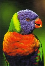 Ansichtskarte: sehr schöner