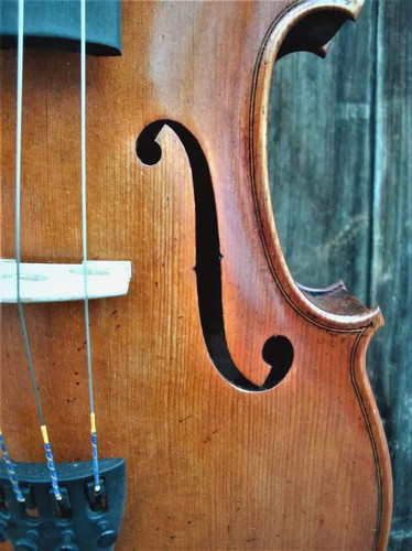Bratsche viola bez poggi - viola, "a.