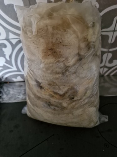 Schafwolle rohwolle - -,