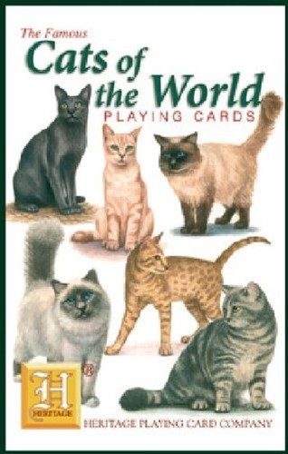 Cats the world set - of,