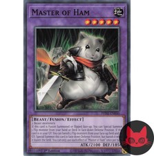 Yugioh meister des schinkens - yugioh,