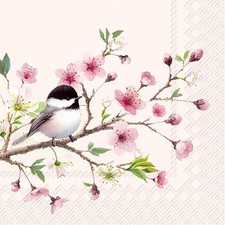 20 Servietten Little Birdie