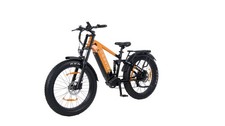 CERVIRA 500W 80N.m E-Bike mit