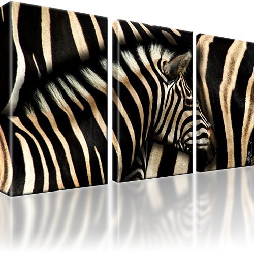 Zebra tiere afrika bild - tiere,