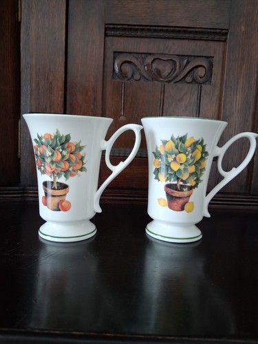Fine bone china becher - fine,