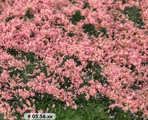 Grasbüschel hellrosa blüten - grasbüschel,