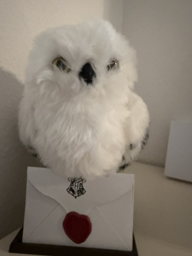 Harry potter hedwig - harry,