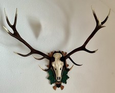 Hirschgeweih 14 Ender