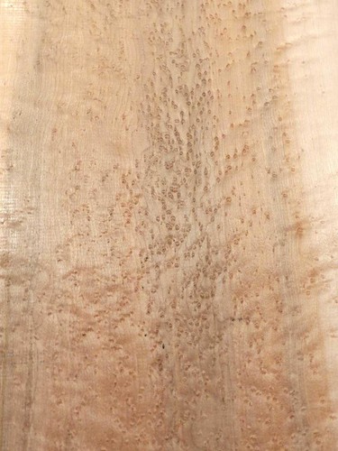 Vogelaugenahorn holz - 1x,