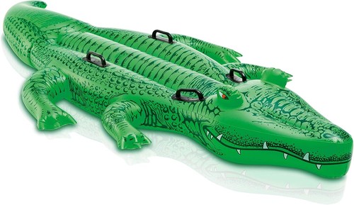Intex giant gator - giant, on