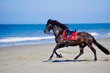 Equipe Emporio Dressursattel