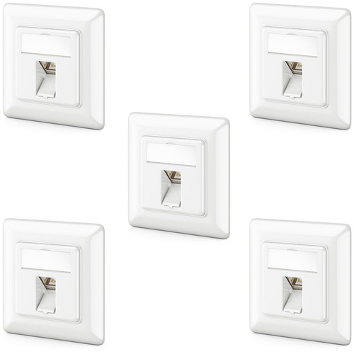 Cat keystone - 5x,